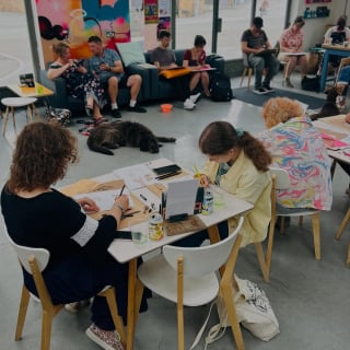 Illustration de l'article : &laquo; C'est un peu une histoire &agrave; la Pretty Woman &raquo;, cette Border Collie pr&eacute;f&egrave;re poser comme mod&egrave;le que de garder des moutons