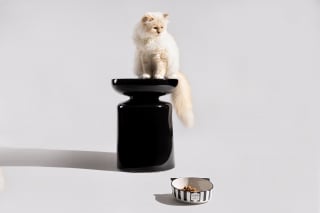 Illustration de l'article : Choupette, la c&eacute;l&egrave;bre chatte de Karl Lagerfeld, et Maisons du Monde d&eacute;voilent une collection exclusive d&rsquo;accessoires pour chats