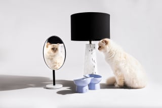 Illustration de l'article : Choupette, la c&eacute;l&egrave;bre chatte de Karl Lagerfeld, et Maisons du Monde d&eacute;voilent une collection exclusive d&rsquo;accessoires pour chats