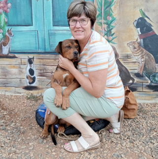 Illustration de l'article : Une chienne pl&acirc;tr&eacute;e au niveau des pattes suite &agrave; des n&eacute;gligences graves est maintenant "l'un des chiens les plus heureux"