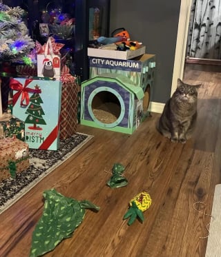 Illustration de l'article : 10 chats et chiens qui ont fait une b&ecirc;tise, mais tente de para&icirc;tre innocents