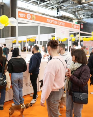 Illustration de l'article : Au Paris Animal Show 2026, d&eacute;couvrez l&rsquo;Adoption Center, un espace d&eacute;di&eacute; &agrave; l&rsquo;adoption responsable et r&eacute;fl&eacute;chie