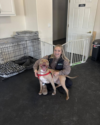 Illustration de l'article : Cette chienne aveugle et en surpoids attendait la famille id&eacute;ale depuis 6 mois, son r&ecirc;ve a &eacute;t&eacute; exauc&eacute; gr&acirc;ce &agrave; un article