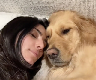 Illustration de l'article : « Maître manipulateur », ce Golden Retriever malicieux double la file d’attente pour convaincre des inconnus de lui acheter une friandise (vidéo)