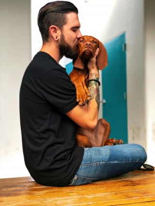 Illustration de l'article : Les 10 bienfaits physiques et psychologiques de l'adoption d'un chien
