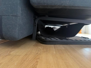 Illustration de l'article : En fixant le canap&eacute; et en miaulant depuis 1 semaine, ce chat d&eacute;voile &agrave; sa ma&icirc;tresse un chaton cach&eacute;