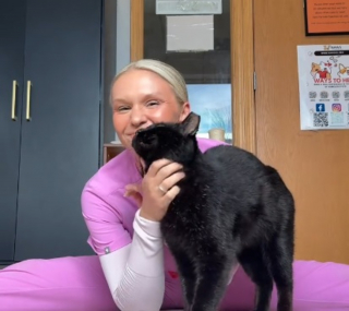 Illustration de l'article : Porteur du FIV et jug&eacute; trop pot de colle ce chat noir croule maintenant sous les demandes d'adoption gr&acirc;ce &agrave; une vid&eacute;o