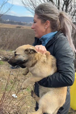 Illustration de l'article : Attach&eacute; &agrave; un arbre au bord de la route, ce chien effray&eacute; d&eacute;cide malgr&eacute; sa peur d&rsquo;accorder sa confiance &agrave; sa bienfaitrice (vid&eacute;o)