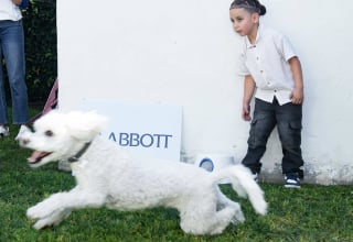 Illustration de l'article : Des enfants et des chiots touch&eacute;s par la m&ecirc;me malformation cardiaque se r&eacute;unissent pour f&ecirc;ter la r&eacute;ussite de leur traitement