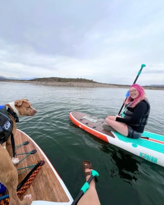 Illustration de l'article : Un chien de refuge profite d&rsquo;une vir&eacute;e avec ses bienfaiteurs pour faire du paddle pour la premi&egrave;re fois de sa vie