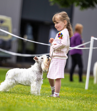 Illustration de l'article : D'un adorable Spaniel sacr&eacute; champion &agrave; une fillette de 4 ans star du plus grand concours canin du monde, voici ce qu'il faut retenir de l'&eacute;dition 2026 de Crufts (vid&eacute;o)