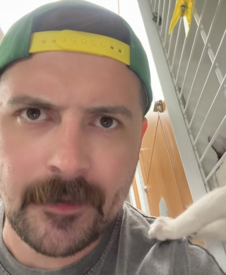 Illustration de l'article : « Je crois que ce chat me veut aussi », un homme cherchait un chat à adopter quand une patte s’est posée sur son épaule lors de sa visite au refuge (vidéo)
