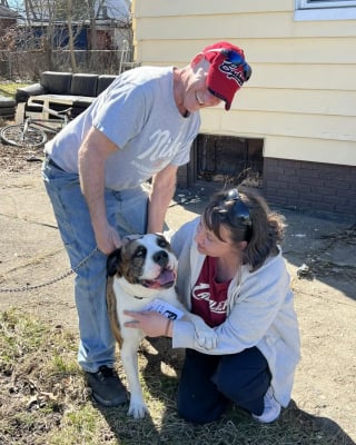 Illustration de l'article : &laquo; Il sent quelque chose l&agrave;-dessous &raquo;, il sauve une femme d&rsquo;une maison en feu, puis son chien aide &agrave; retrouver un chien pi&eacute;g&eacute; au sous-sol