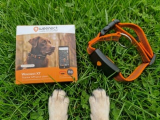 Illustration de l'article : Avis Weenect XT : notre test du collier GPS pour chien permettant de suivre tous les mouvements de votre compagnon en temps r&eacute;el