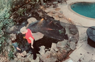 Illustration de l'article : Apr&egrave;s une chute dans la piscine, ce chien &eacute;chappe de justesse &agrave; la noyade gr&acirc;ce &agrave; l&rsquo;intervention rapide de son jeune ma&icirc;tre (vid&eacute;o)