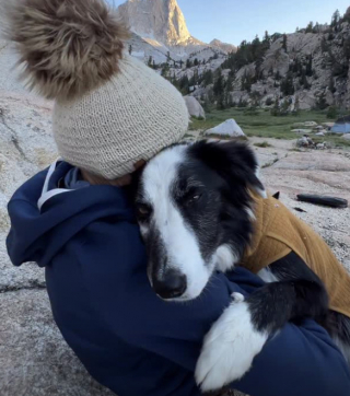 Illustration de l'article : &laquo; Un chien qui a besoin de vous &raquo;, une femme d&eacute;livre un message &eacute;mouvant en recommandant les meilleurs chiens &agrave; adopter (vid&eacute;o)