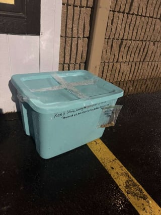 Illustration de l'article : D&eacute;couvert au petit matin dans un bac ferm&eacute;, ce chiot avec une collerette en carton d&eacute;couvre enfin la tendresse humaine