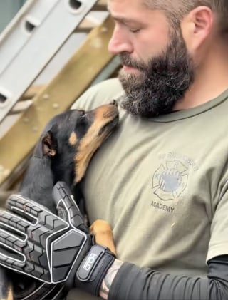 Illustration de l'article : Pr&ecirc;te &agrave; tout pour ses chiots, une chienne vivant dans un hangar finit par s&rsquo;apaiser lorsqu&rsquo;elle comprend que ses sauveurs veulent les aider (vid&eacute;o)