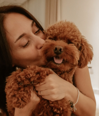 Illustration de l'article : Un couple d'expatri&eacute;s fuyant le Moyen-Orient traverse plusieurs fronti&egrave;res pour r&eacute;ussir &agrave; &eacute;vacuer son Caniche (vid&eacute;o)