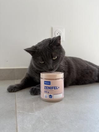 Illustration de l'article : Test du Gel diffuseur Zenifel&reg; de Virbac : notre avis pour apaiser un chat stress&eacute; pendant un d&eacute;m&eacute;nagement