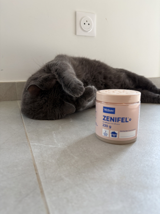 Illustration de l'article : Test du Gel diffuseur Zenifel&reg; de Virbac : notre avis pour apaiser un chat stress&eacute; pendant un d&eacute;m&eacute;nagement
