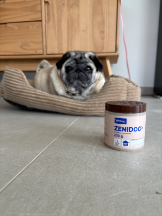 Illustration de l'article : Avis Zenidog&reg; de Virbac, notre test du collier et du diffuseur de ph&eacute;romones pour apaiser un chien stress&eacute;