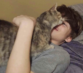 Illustration de l'article : Un chaton secouru dans un parc est finalement adopt&eacute; par le jeune gar&ccedil;on de sa famille d'accueil