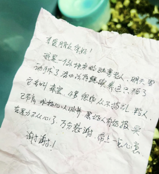 Illustration de l'article : Abandonn&eacute;e avec un mot et de l'argent devant une animalerie, cette chatte est recueillie le temps de l'hospitalisation de son ma&icirc;tre (vid&eacute;o)