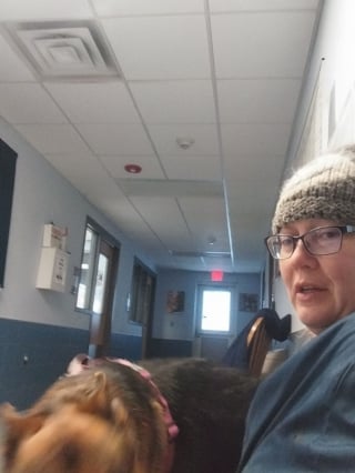 Illustration de l'article : Bloqu&eacute;es par une violente temp&ecirc;te de neige, 2 employ&eacute;es dorment au refuge pour nourrir les animaux