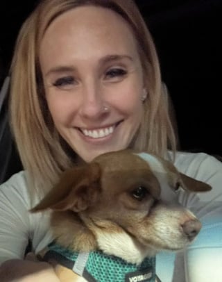 Illustration de l'article : Vol&eacute; par l'ancien compagnon de sa propri&eacute;taire, un Chihuahua est retrouv&eacute; par la police un an plus tard et remis &agrave; sa ma&icirc;tresse (vid&eacute;o)