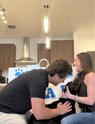 Illustration de l'article : Un chien de type Pitbull tr&egrave;s enthousiaste apr&egrave;s son adoption d&eacute;finitive (vid&eacute;o)