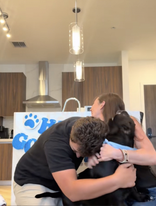 Illustration de l'article : Un chien de type Pitbull tr&egrave;s enthousiaste apr&egrave;s son adoption d&eacute;finitive (vid&eacute;o)