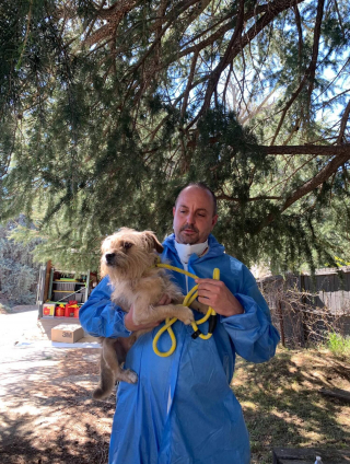 Illustration de l'article : Une vaste op&eacute;ration mobilise 70 agents pour &eacute;vacuer 300 animaux d'une propri&eacute;t&eacute; insalubre