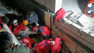 Illustration de l'article : Piégée dans du béton durci, une chienne est sauvée après 7 heures d'intervention et retrouve sa famille (vidéo)