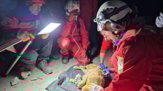 Illustration de l'article : Piégée dans du béton durci, une chienne est sauvée après 7 heures d'intervention et retrouve sa famille (vidéo)
