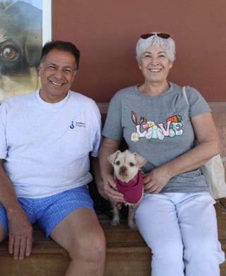 Illustration de l'article : Abandonnée dans une cage sur un parking cette chienne souffrant d'alopécie est soignée puis adoptée