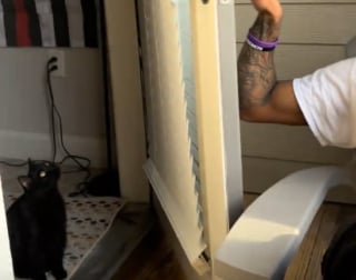 Illustration de l'article : Un chat gratte de mani&egrave;re r&eacute;p&eacute;t&eacute;e et &eacute;nergique contre une porte vitr&eacute;e pour obtenir le d&eacute;placement de son panier (vid&eacute;o)