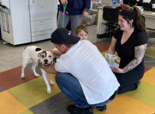 Illustration de l'article : Disparu pendant 10 ans, un chien est restitu&eacute; &agrave; ses propri&eacute;taires gr&acirc;ce &agrave; l'actualisation de sa puce d'identification (vid&eacute;o)