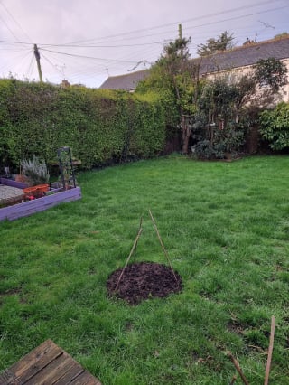 Illustration de l'article : Un Labrador d&eacute;terre une bouteille de poison dans son jardin et l&egrave;ve le voile sur un meurtre vieux de 160 ans