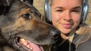 Illustration de l'article : Un ancien chien policier atteint d'un cancer cardiaque incurable est plac&eacute; en soins palliatifs dont les frais sont financ&eacute;s par une fondation