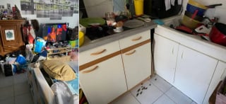 Illustration de l'article : 5 chats maltrait&eacute;s dont 3 enferm&eacute;s dans des cages pleines d'excr&eacute;ments sont saisis et d&eacute;couvrent enfin des conditions de vie dignes