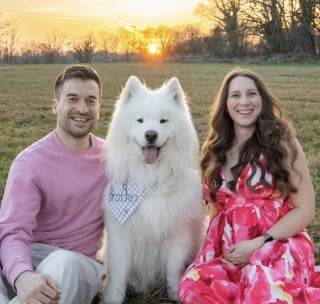 Illustration de l'article : Un Samoyède sent pour la première fois le coup de pied du bébé dans le ventre de sa maîtresse (vidéo)