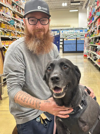 Illustration de l'article : Éjectée d'un véhicule en marche puis percutée par un poids lourd, une chienne amputée d'un membre est adoptée par son sauveteur (vidéo)