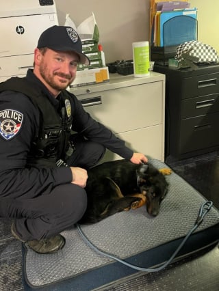 Illustration de l'article : Apr&egrave;s avoir sauv&eacute; un chien attach&eacute; &agrave; une cl&ocirc;ture sous la pluie, un policier retourne au refuge pour l'adopter