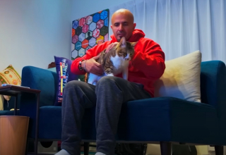 Illustration de l'article : D&eacute;couvert dans les parties communes d'une r&eacute;sidence, un chat errant se lie d'amiti&eacute; avec un homme et finit par &ecirc;tre adopt&eacute;