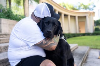 Illustration de l'article : Un chien guide sauve la vie de son ma&icirc;tre malvoyant en posant la t&ecirc;te sur sa jambe pour l'alerter d'une grave thrombose