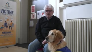 Illustration de l'article : Un chien r&eacute;form&eacute; et orient&eacute; comme assistant judiciaire accompagne les victimes lors des proc&egrave;s difficiles &agrave; la cour d'assises de Corr&egrave;ze (vid&eacute;o)
