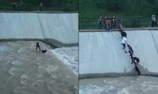 Illustration de l'article : Une &oelig;uvre d'art en bronze immortalise le sauvetage d'un chien tomb&eacute; dans un canal par une cha&icirc;ne humaine 10 ans plus t&ocirc;t