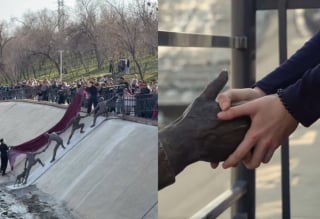 Illustration de l'article : Une &oelig;uvre d'art en bronze immortalise le sauvetage d'un chien tomb&eacute; dans un canal par une cha&icirc;ne humaine 10 ans plus t&ocirc;t