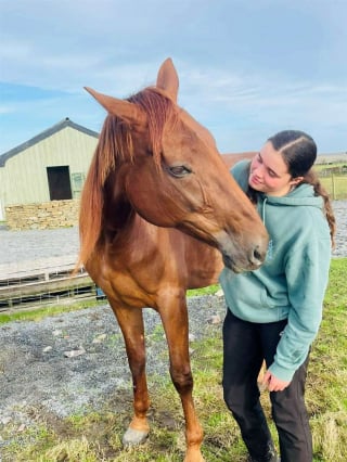 Illustration de l'article : &laquo; Elle avait toute une vie devant elle &raquo;, sauv&eacute; d'un abattoir ill&eacute;gal, cet ancien cheval de course est finalement adopt&eacute;